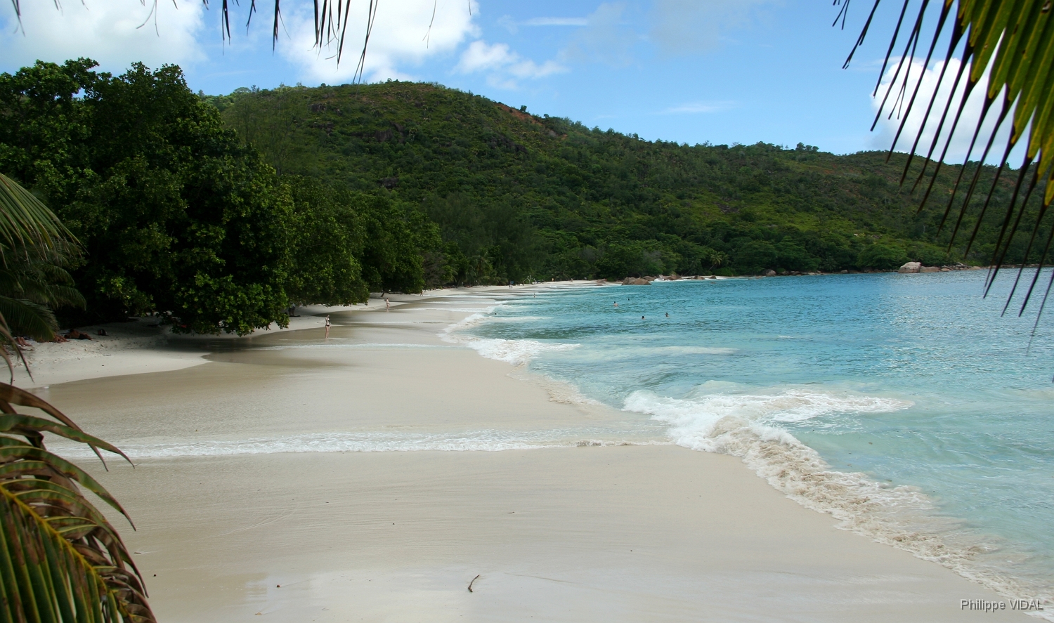 IMG_2080_rf_PRASLIN_ANSE LAZIO.jpg